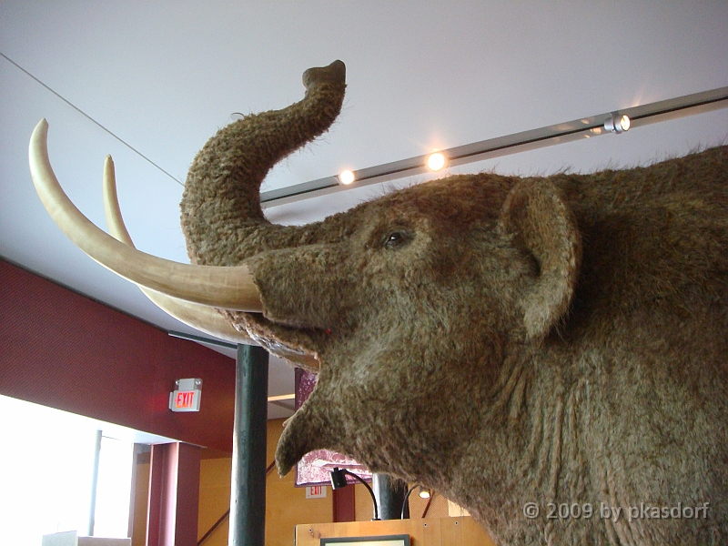 040 Cranbrook Institute of Science [2008 Jan 02].JPG